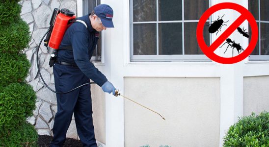Çamoluk Böcek ve Haşere İlaçlama böcek ilaçlama ve haşere kontrolü — ilaclama-tr.com